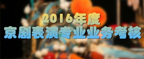 欧美逼国家京剧院2016年度京剧表演专业业务考...